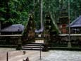 Tempel im Affenwald von Sangeh (76 kB)