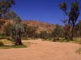 Todd River in Alice Springs (53 kB)