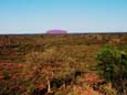 Blick von Kata Tjuta zum Uluru (63 kB)